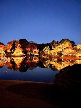 六義園に投稿された画像（2025/12/5）