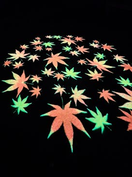 六義園に投稿された画像（2025/12/5）