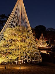 六義園に投稿された画像（2025/12/5）