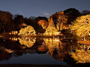 六義園に投稿された画像（2025/12/5）