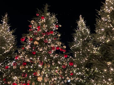 Christmas Market in 横浜赤レンガ倉庫 2025に投稿された画像（2025/12/5）