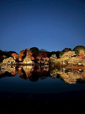 六義園に投稿された画像（2025/12/5）