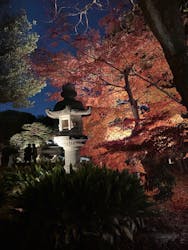 六義園に投稿された画像（2025/12/5）