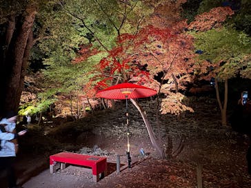 六義園に投稿された画像（2025/12/5）