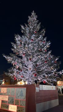 Christmas Market in 横浜赤レンガ倉庫 2025に投稿された画像（2025/12/5）