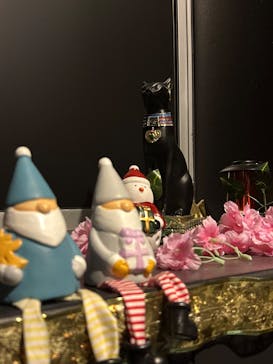 MYSTERY OF TUTANKHAMEN 体感型古代エジプト展に投稿された画像（2025/12/5）