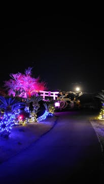 伊豆高原グランイルミに投稿された画像（2025/12/5）