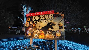 伊豆高原グランイルミに投稿された画像（2025/12/5）