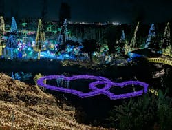 美らヤシパークオキナワ・東南植物楽園に投稿された画像（2025/12/5）