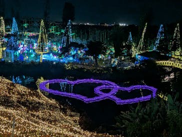 美らヤシパークオキナワ・東南植物楽園に投稿された画像（2025/12/5）