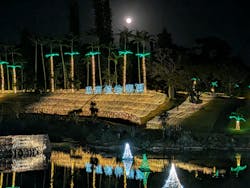 美らヤシパークオキナワ・東南植物楽園に投稿された画像（2025/12/5）