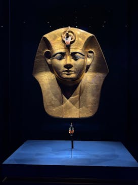 ACN ラムセス大王展 ファラオたちの黄金に投稿された画像（2025/12/5）