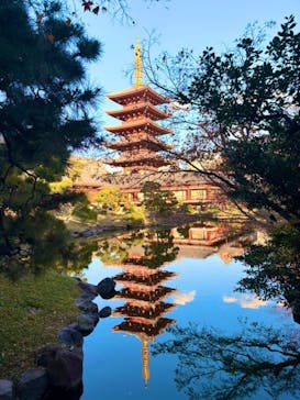 ASAKUSA CULTURE & LIGHTS 2025に投稿された画像（2025/12/5）