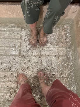 有馬温泉 太閤の湯に投稿された画像（2025/12/5）