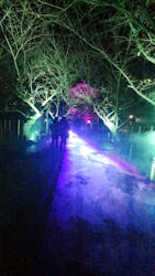 ZEN NIGHT WALK KAMAKURAに投稿された画像（2025/12/5）