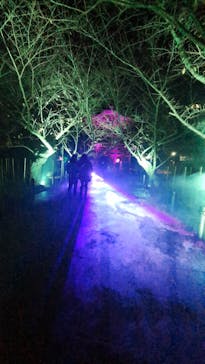 ZEN NIGHT WALK KAMAKURAに投稿された画像（2025/12/5）