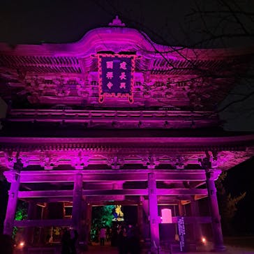 ZEN NIGHT WALK KAMAKURAに投稿された画像（2025/12/5）