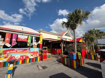 OKINAWAフルーツらんどに投稿された画像（2025/12/5）