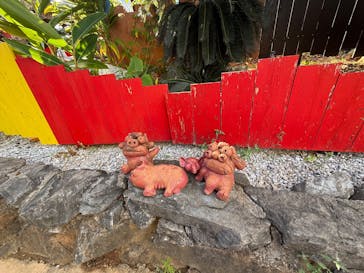 OKINAWAフルーツらんどに投稿された画像（2025/12/5）