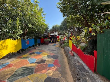 OKINAWAフルーツらんどに投稿された画像（2025/12/5）