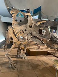 福井県立恐竜博物館に投稿された画像（2025/12/5）