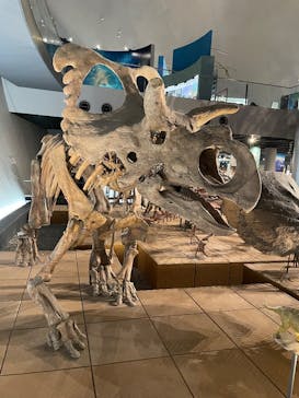 福井県立恐竜博物館に投稿された画像（2025/12/5）