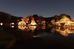 六義園に投稿された画像（2025/12/5）