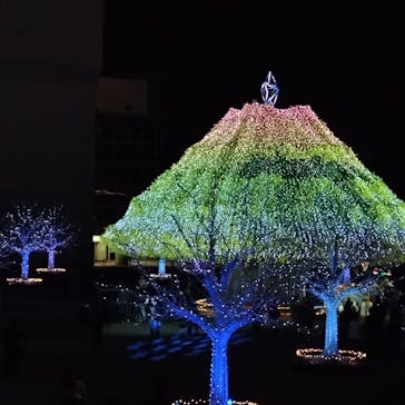東京メガイルミに投稿された画像（2025/12/5）