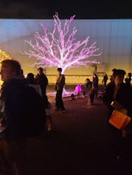 東京メガイルミに投稿された画像（2025/12/5）