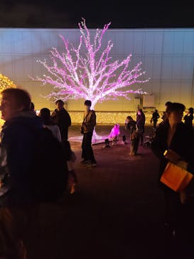 東京メガイルミに投稿された画像（2025/12/5）