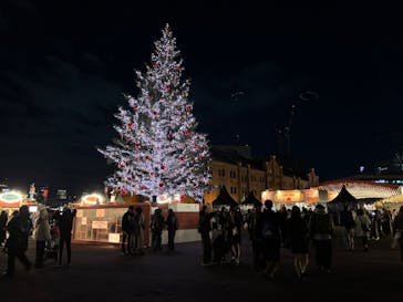 Christmas Market in 横浜赤レンガ倉庫 2025に投稿された画像（2025/12/5）