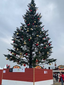 Christmas Market in 横浜赤レンガ倉庫 2025に投稿された画像（2025/12/5）
