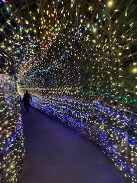 伊豆高原グランイルミに投稿された画像（2025/12/6）