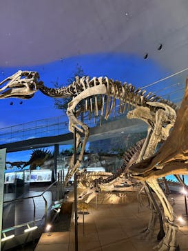 福井県立恐竜博物館に投稿された画像（2025/12/6）