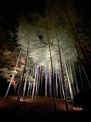 六義園に投稿された画像（2025/12/6）