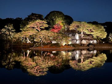 六義園に投稿された画像（2025/12/6）