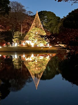 六義園に投稿された画像（2025/12/6）