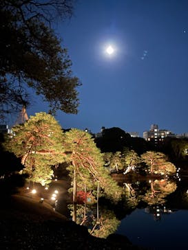 六義園に投稿された画像（2025/12/6）