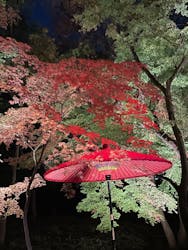 六義園に投稿された画像（2025/12/6）