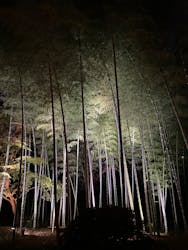 六義園に投稿された画像（2025/12/6）