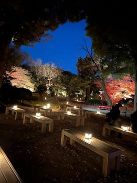 六義園に投稿された画像（2025/12/6）