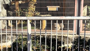 名古屋市東山動植物園に投稿された画像（2025/12/6）