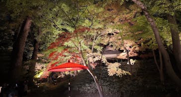 六義園に投稿された画像（2025/12/6）