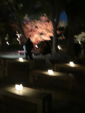 六義園に投稿された画像（2025/12/6）