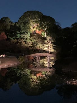 六義園に投稿された画像（2025/12/6）