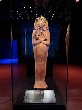 ACN ラムセス大王展 ファラオたちの黄金に投稿された画像（2025/12/6）