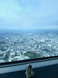 横浜ランドマークタワー 69階展望フロア スカイガーデンに投稿された画像（2025/12/6）