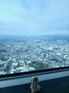 横浜ランドマークタワー 69階展望フロア スカイガーデンに投稿された画像（2025/12/6）