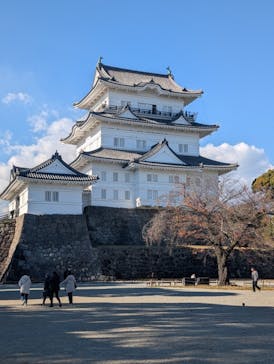 小田原城に投稿された画像（2025/12/6）