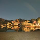 六義園に投稿された画像（2025/12/6）